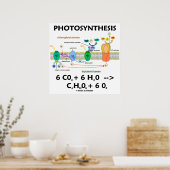 Photosynthesis (Light-Dependent) Chemical Equation Poster (Keuken)