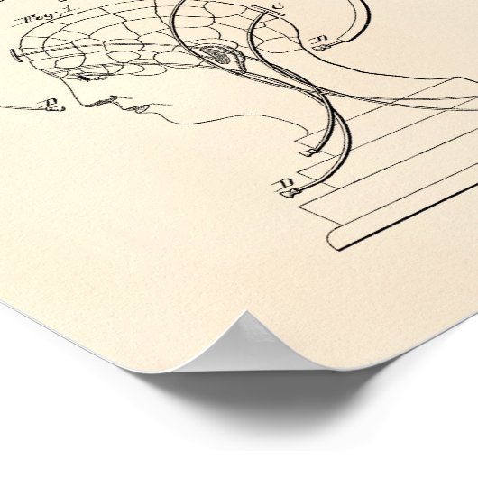 Phrenological Bust 1856 Patent Art Old Peper Poster (Hoek)