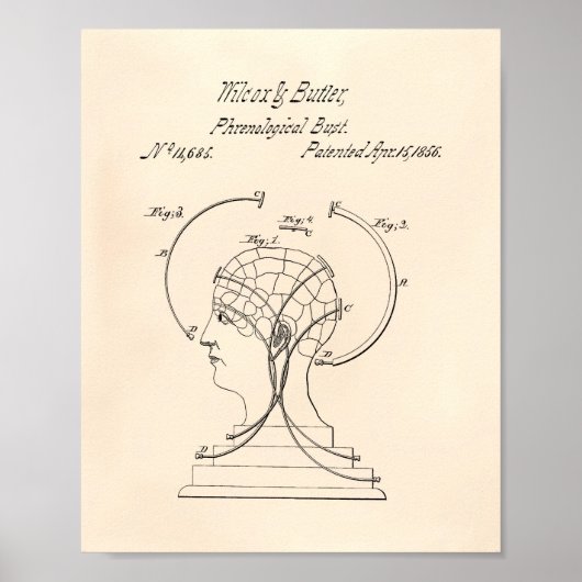 Phrenological Bust 1856 Patent Art Old Peper Poster (Voorkant)