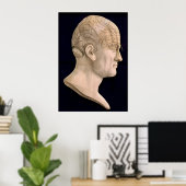 Phrenologie 1834 poster (Thuiskantoor)