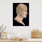 Phrenologie 1834 poster (Keuken)