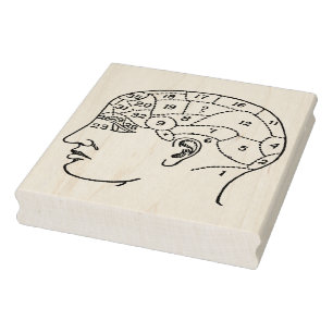Phrenologie Hoofd Rubber Kunststempel Rubberstempel