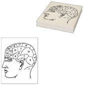 Phrenologie Hoofd Rubber Kunststempel Rubberstempel (Gestempeld)
