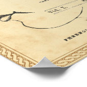 Phrenologie: Ken jezelf Poster (Hoek)