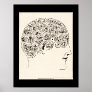 Phrenologische kaart van de faculteiten, kunst poster