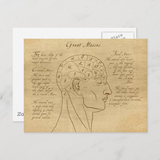 Phrenology Diagram Briefkaart (Voorkant / Achterkant)