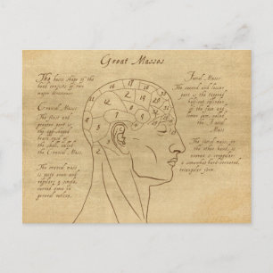 Phrenology Diagram Briefkaart