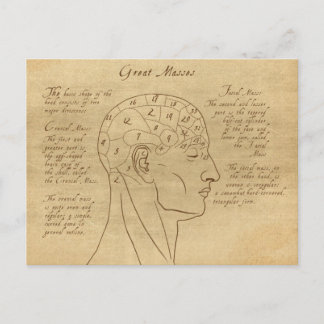 Phrenology Diagram Briefkaart