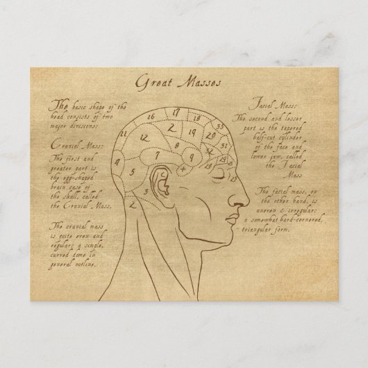Phrenology Diagram Briefkaart (Voorkant)