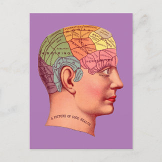  Phrenology Head Mind Brain Map Briefkaart
