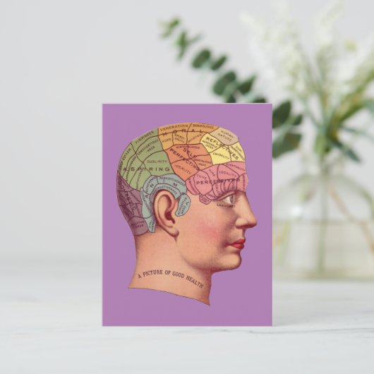  Phrenology Head Mind Brain Map Briefkaart (Staand voorkant)