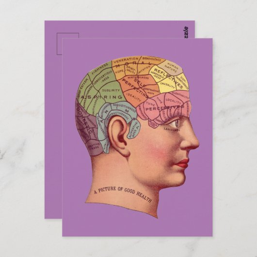  Phrenology Head Mind Brain Map Briefkaart (Voorkant / Achterkant)