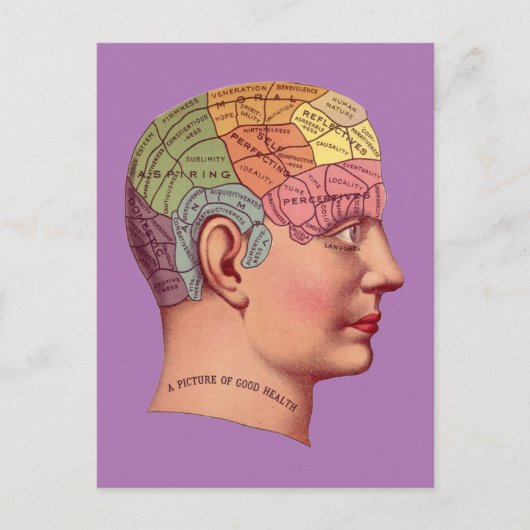  Phrenology Head Mind Brain Map Briefkaart (Voorkant)