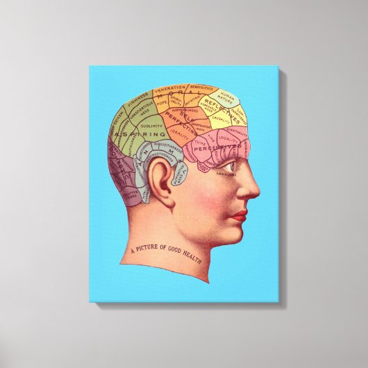 Phrenology Head Mind Brain Map Canvas Afdruk (Voorkant)