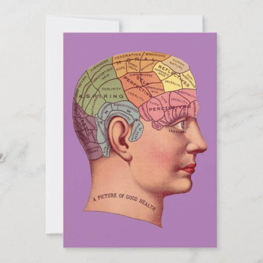  Phrenology Head Mind Brain Map Kaart (Voorkant)