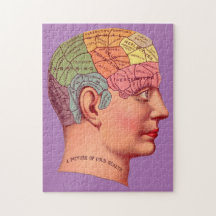  Phrenology Head Mind Brain Map