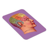  Phrenology Head Mind Brain Map Magneet (Rechterzijde)