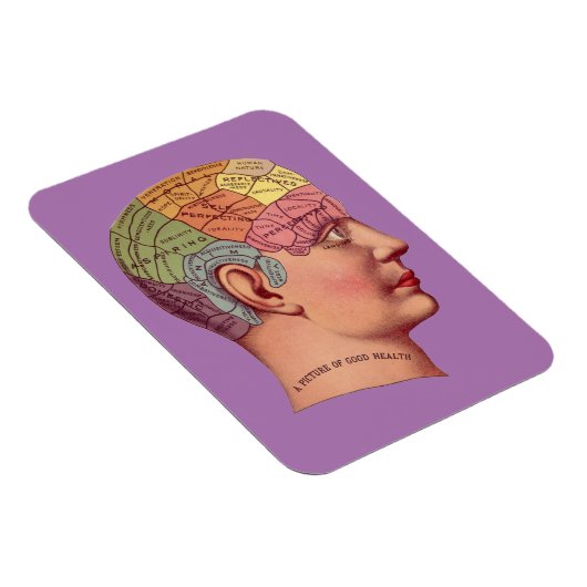  Phrenology Head Mind Brain Map Magneet (Rechterzijde)