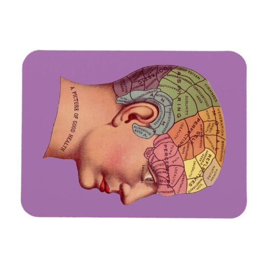  Phrenology Head Mind Brain Map Magneet (Horizontaal)