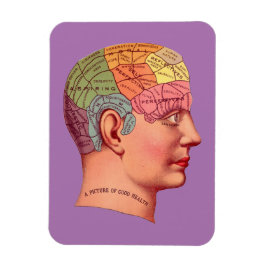  Phrenology Head Mind Brain Map Magneet