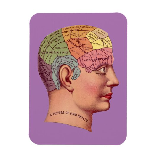  Phrenology Head Mind Brain Map Magneet (Verticaal)