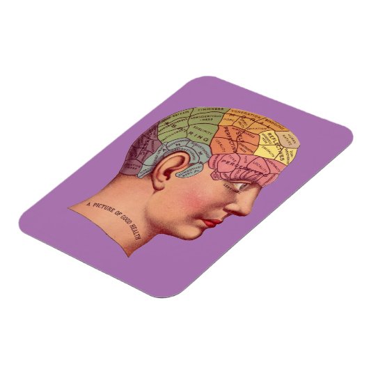  Phrenology Head Mind Brain Map Magneet (Linkerzijde)