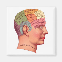  Phrenology Head Mind Brain Map Magneet