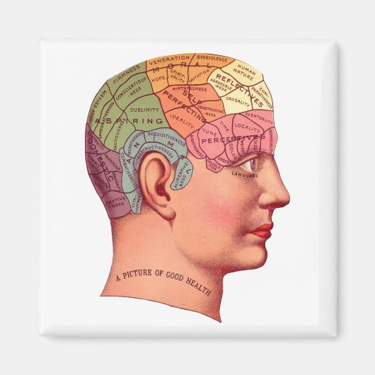 Phrenology Head Mind Brain Map Magneet (Voorkant)