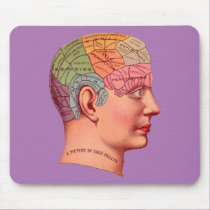 Phrenology Head Mind Brain Map Muismat