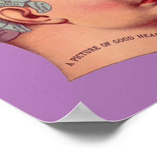  Phrenology Head Mind Brain Map Poster (Hoek)