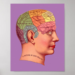 Phrenology Head Mind Brain Map Poster