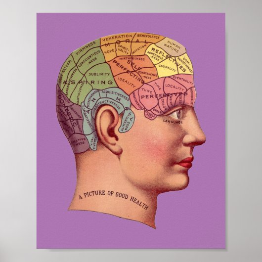  Phrenology Head Mind Brain Map Poster (Voorkant)