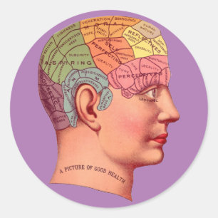  Phrenology Head Mind Brain Map Ronde Sticker