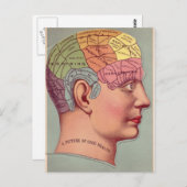 Phrenology kunst Afbeelding van goede gezondheid Briefkaart (Voorkant / Achterkant)