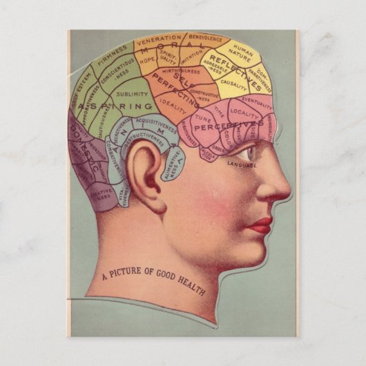 Phrenology kunst Afbeelding van goede gezondheid Briefkaart (Voorkant)