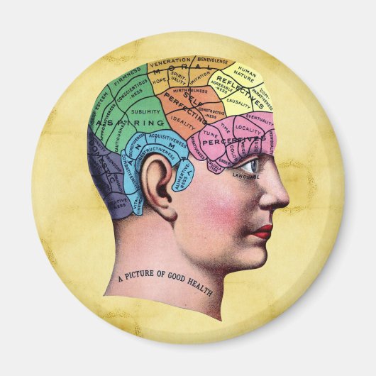 Phrenology Magnet (Voorkant)
