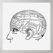  Phrenology Neurology geïllustreerd Poster (Voorkant)