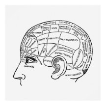 Phrenology Neurology geïllustreerd