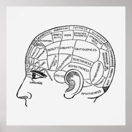  Phrenology Neurology geïllustreerd Poster