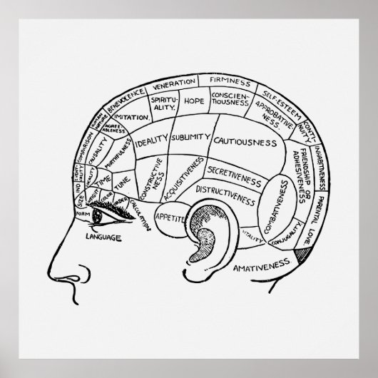  Phrenology Neurology geïllustreerd Poster (Voorkant)