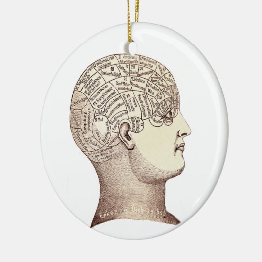  phrenology Ornament Double Sided (Links)