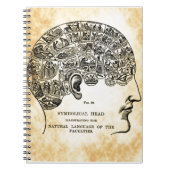 Phrenology Steampunk  notebook Notitieboek (Voorkant)