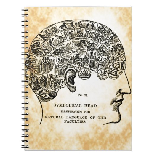 Phrenology Steampunk notebook Notitieboek (Voorkant)