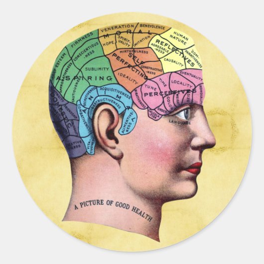 Phrenology Sticker (Voorkant)