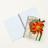 Phycella fulgens Notitieboek (Binnen)