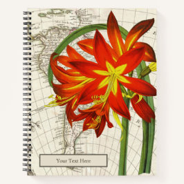 Phycella fulgens Notitieboek