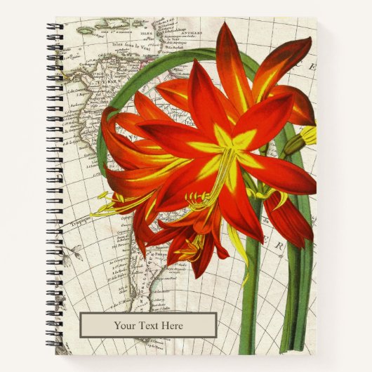 Phycella fulgens Notitieboek (Voorkant)