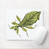 Phyllium Siccifolia Muismat (Met muis)