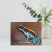 Phyllobates vittatus, een gifpijlkikker briefkaart (Staand voorkant)