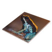 Phyllobates vittatus, een gifpijlkikker tegeltje (Zijkant)